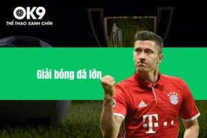 Giải bóng đá lớn - Những giải đấu hấp dẫn không thể bỏ qua