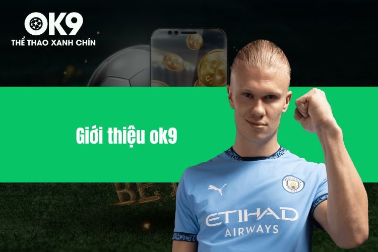 Giới Thiệu OK9 - Sân Chơi Cá Cược Đẳng Cấp Uy Tín Hàng Đầu!